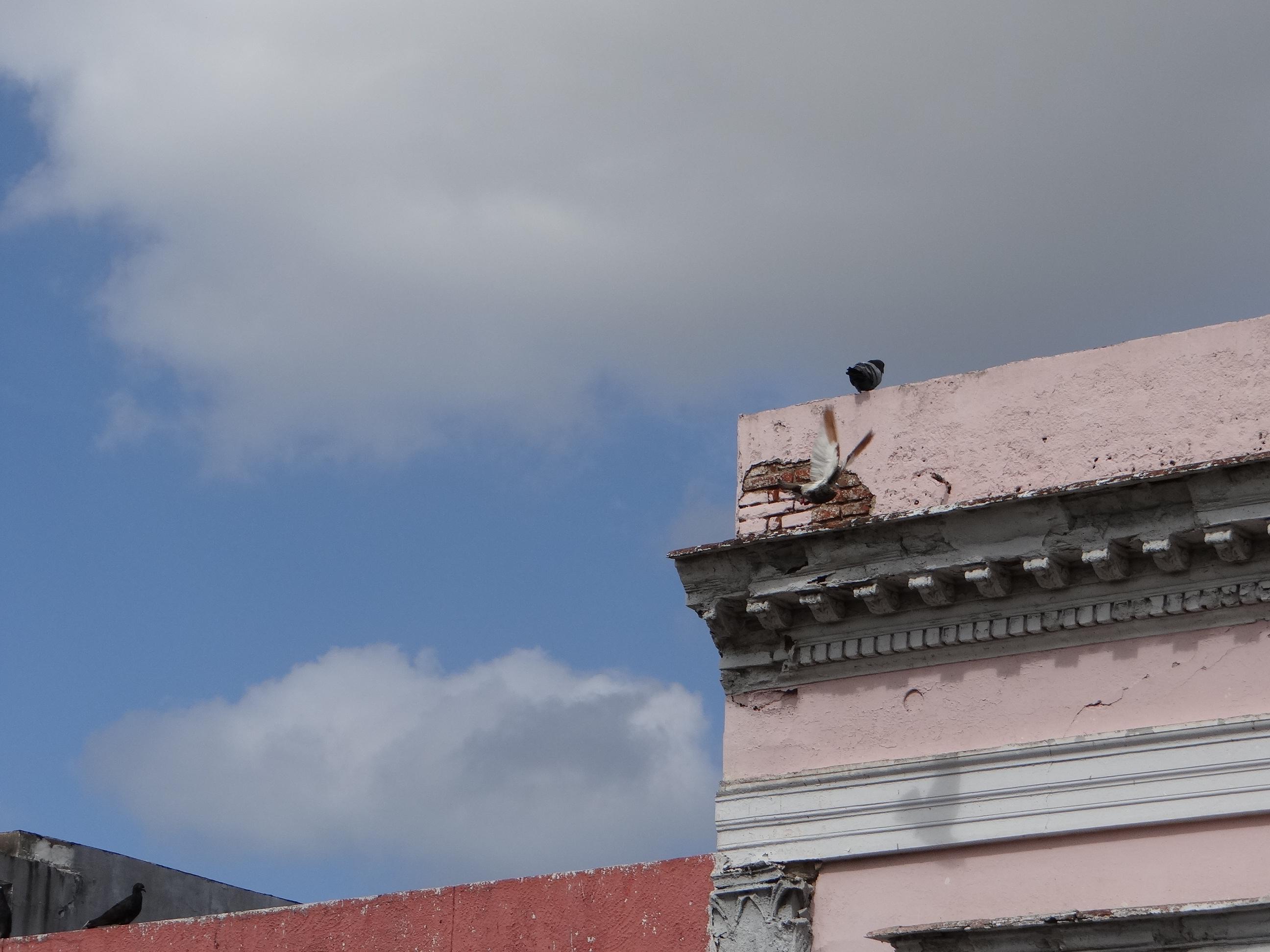 Edificio 1 - Detalle Ornamental - Ponce - 2013 00005